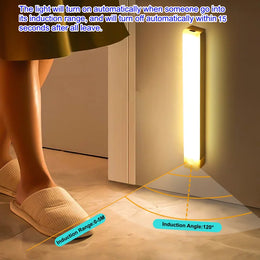 LED Motion Sensor Light